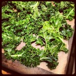 All Kale Everything Recipes/Lesson Plan