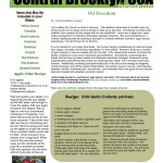 Brooklyn Farm Share Recipes 2 – Oil Freedom